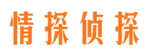 左云侦探公司